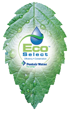 Logo ecoselect