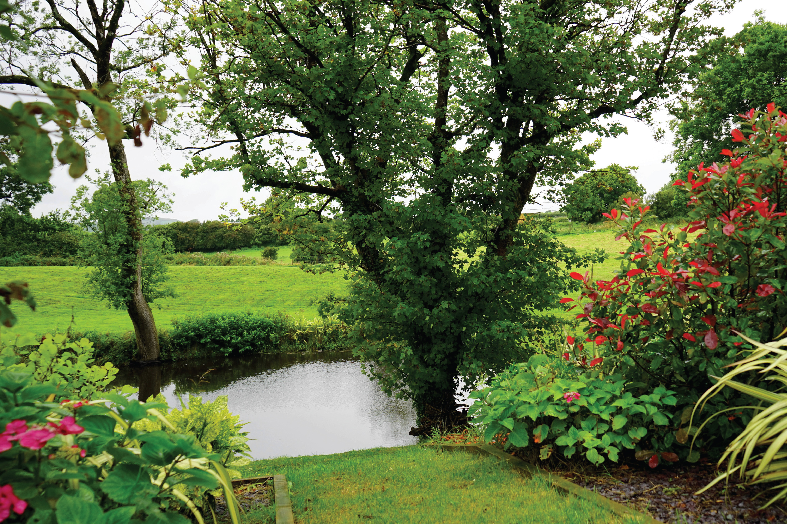 c&oacute;mo ayuda la vegetaci&oacute;n al clima