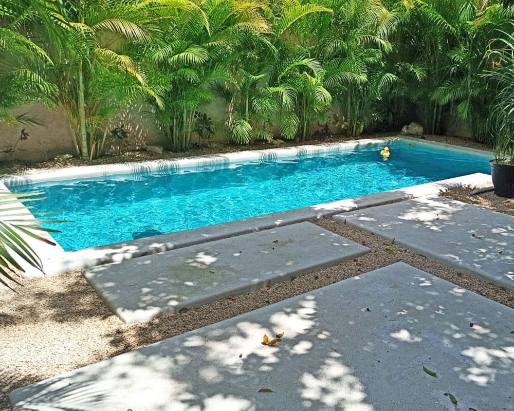 Por qué un clorador salino para tu piscina? Tecnyvan